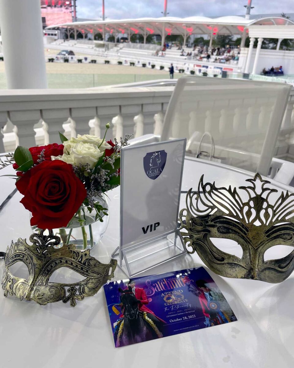 VIP Under Cover Stirrups