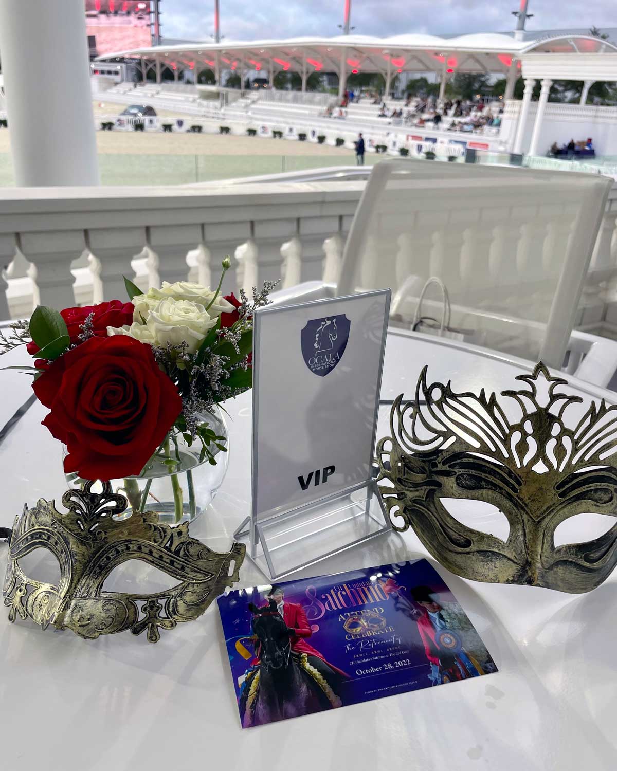 VIP Under Cover Stirrups