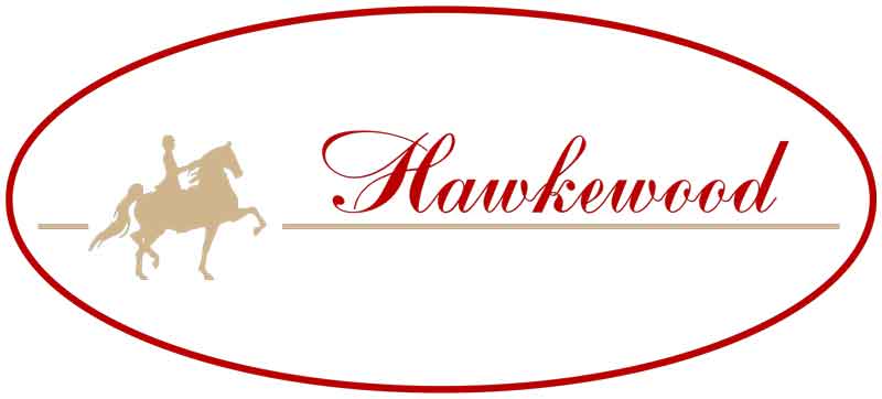 Nannette Peel Designs