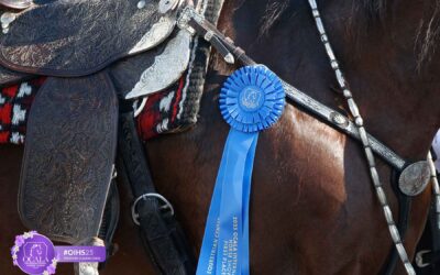 2025 OIHS Judges Cards