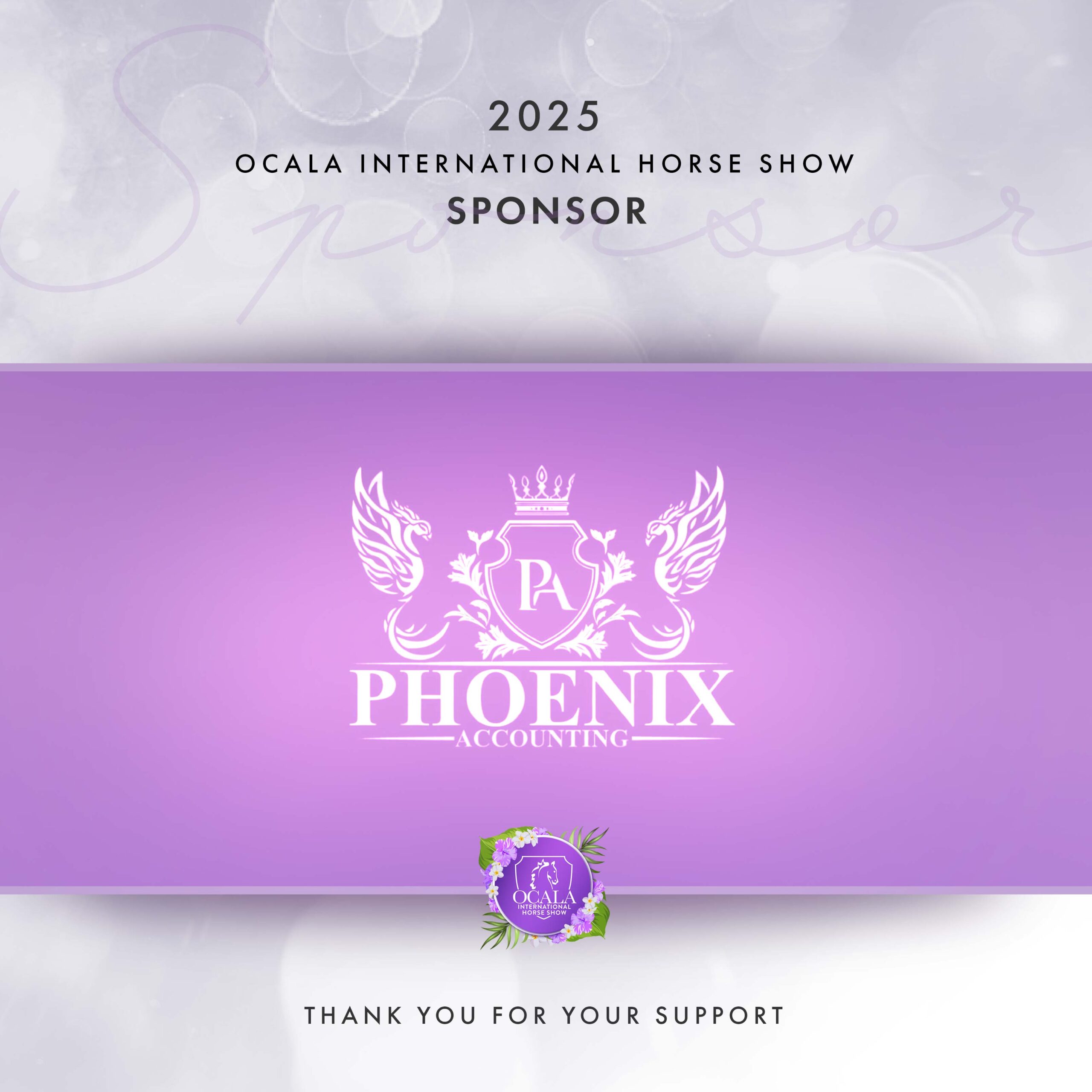 phoenix-accounting-10k-under phoenix accounting